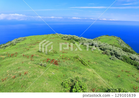 [島根縣] 從赤尾瞭望台眺望的景色（隱岐諸島西之島） 129101639