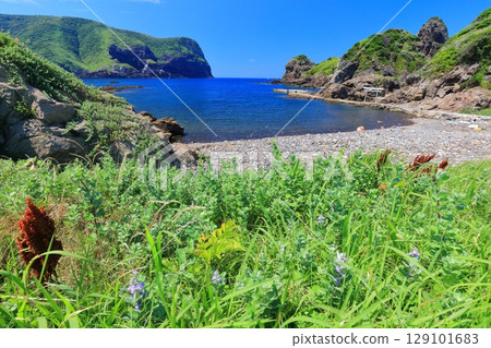 [Shimane Prefecture] Kunigahama Beach on the Kuniga Coast on a clear day (Nishinoshima, Oki Islands) 129101683