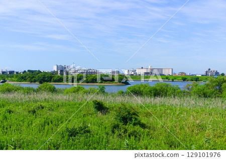Around Edogawa Water Gate, Edogawa Ward, Tokyo July 2025 Around Edogawa Water Gate, Edogawa Ward, Tokyo July 2025 129101976