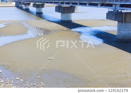 2025 年 7 月，千葉縣市川市江戶川洩洪道挖蛤現場 129102279