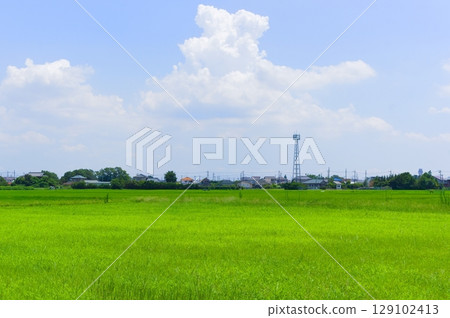 埼玉縣越谷市向畑的風景，2025年7月 129102413