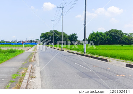 Scenery of Mukaihata, Koshigaya City, Saitama Prefecture, July 2025 Scenery of Mukaihata, Koshigaya City, Saitama Prefecture, July 2025 129102414