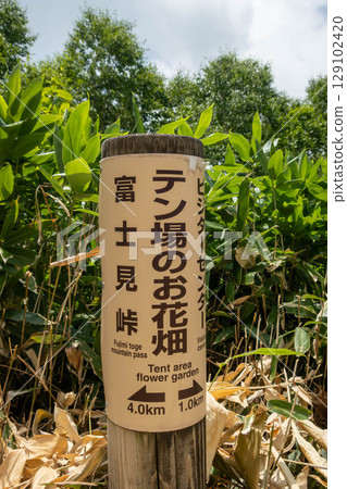 野佐里湖畔、登山路標、露營地的花田 129102420