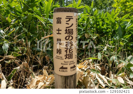 野佐里湖畔、登山路標、露營地的花田 129102421