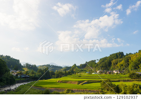 Harvested rice terraces, blue sky and clouds (Taketa City, Oita Prefecture) 129102937