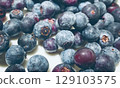 Lots of blueberries stock photos 129103575