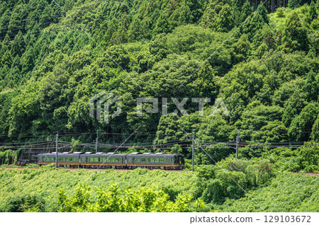 JR West sightseeing train Hanaakari on the Kosei Line in Makino Town, Takashima City, Shiga Prefecture JR West sightseeing train Hanaakari on the Kosei Line in Makino Town, Takashima City, Shiga Prefecture 129103672