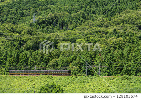 滋賀縣高島市牧野町湖西線JR西日本觀光列車“花光” 129103674