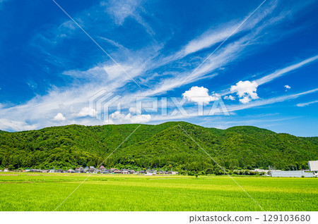 滋賀縣高島市牧野町的田園風光 滋賀縣高島市牧野町的田園風光 129103680