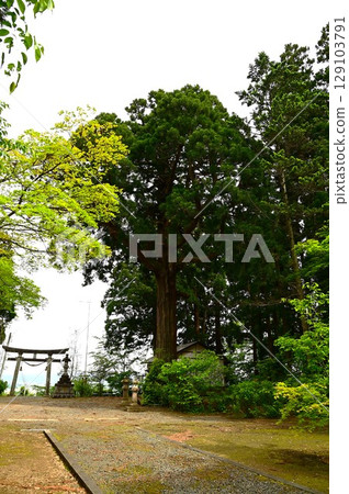 Remnants of Shinto-Buddhist syncretism: Enmanji Kannon Hall and Yasaka Shrine Remnants of Shinto-Buddhist syncretism: Enmanji Kannon Hall and Yasaka Shrine 129103791