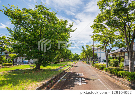Tree-lined street in front of Makino Station on the Kosei Line, Makino Town, Takashima City, Shiga Prefecture 129104092