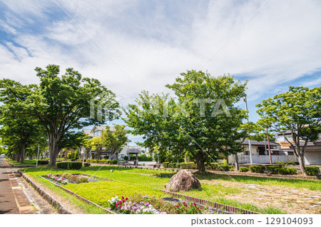 Tree-lined street in front of Makino Station on the Kosei Line, Makino Town, Takashima City, Shiga Prefecture 129104093