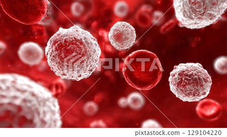 紅血球和白血球的圖像 129104220