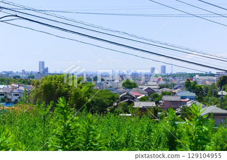 View of Tokyo from a hill in Ichikawa City, Chiba Prefecture, July 2025 129104955
