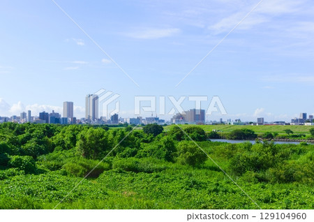 Edogawa, Ichikawa City, Chiba Prefecture July 2025 129104960