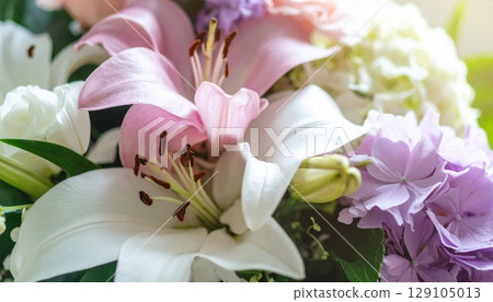 四月生日花:百合水仙、非洲菊 四月生日花:百合水仙、非洲菊 129105013