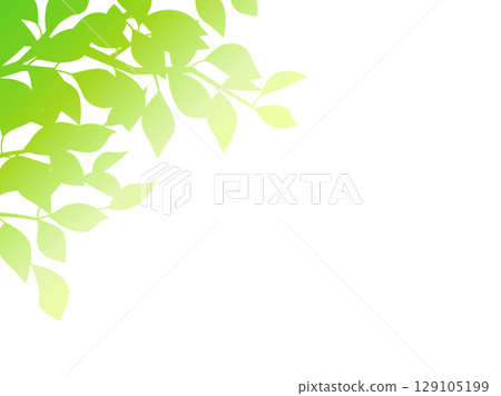 An illustration expressing the light and shadow of leaves with a green gradation 129105199