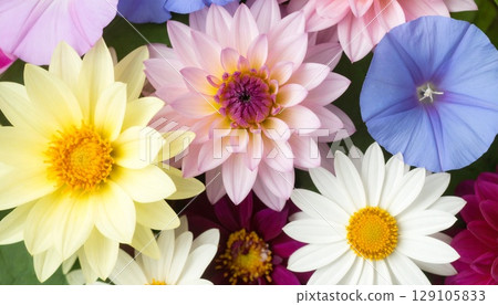 July birth flower: Water lily 129105833