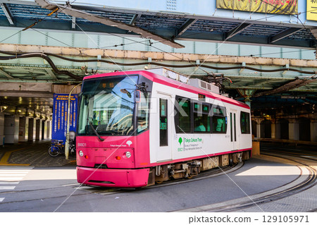 Tokyo Sakura Tram (Toden Arakawa Line) Oji Station to Asukayama Station, shared track Tokyo Sakura Tram (Toden Arakawa Line) Oji Station to Asukayama Station, shared track 129105971