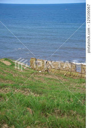 Rice terraces with a view of the sea 129106067