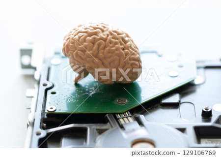 儲存在硬碟上的大腦模型 129106769