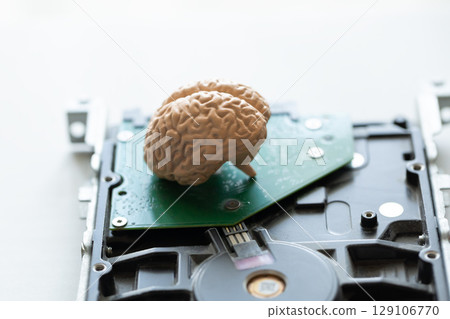 儲存在硬碟上的大腦模型 129106770