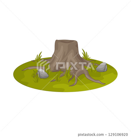 Illustration of Tree Stump  129106920
