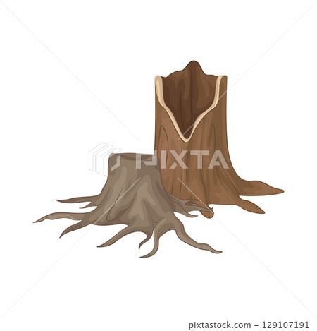 Illustration of Tree Stump 129107191
