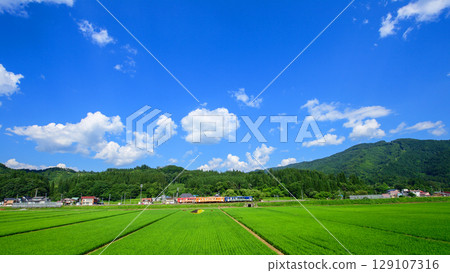 Rice Field Art Station: Vast rice fields and blue skies in front of Kamihinokinai Station, Akita Prefecture 129107316