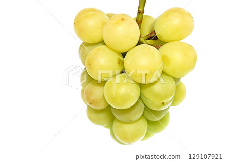 葡萄(瀨戶巨人) 葡萄(瀨戶巨人) 129107921