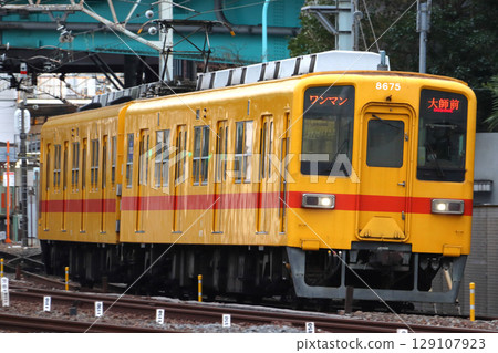 [TS]東武大師線8000系列車（復興漆黃色） 129107923