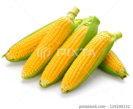 夏季正是玉米成熟季節 129108132
