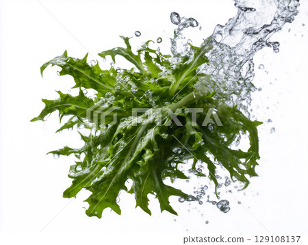 水濺到新鮮蔬果上的瞬間 水濺到新鮮蔬果上的瞬間 129108137