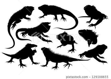 Iguana Silhouette. Black and white Vector Illustration Iguana Silhouette. Black and white Vector Illustration 129108655