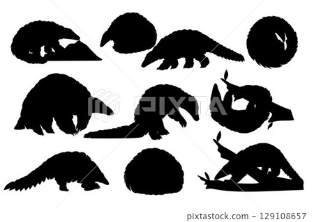 Pangolin Silhouette. Black and white Vector Illustration Pangolin Silhouette. Black and white Vector Illustration 129108657