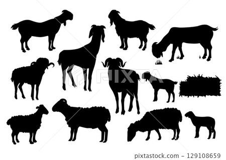 Goat and Sheep Silhouette. Black and white Vector Illustration 129108659