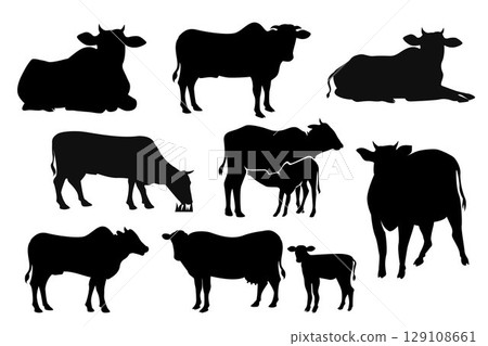 Cow Silhouette. Black and white Vector Illustration Cow Silhouette. Black and white Vector Illustration 129108661