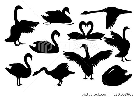 Swan Silhouette. Black and white Vector Illustration 129108663