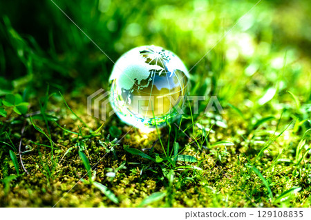 Beautiful crystal globe in the grass. Ecological image. Bottom space. Normal morning color. 129108835