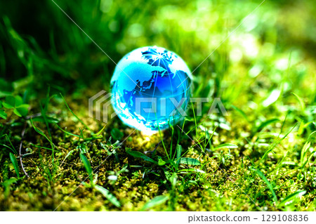 Beautiful globe crystal in the grass. Ecological image. Bottom space. Blue morning color. 129108836