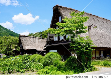 Beautiful summer scenery of Gassho-style houses in Shirakawa-go 129108926