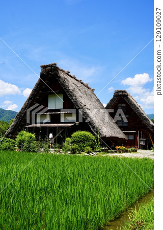 Shirakawa-go and Gassho-style houses in summer Shirakawa-go and Gassho-style houses in summer 129109027