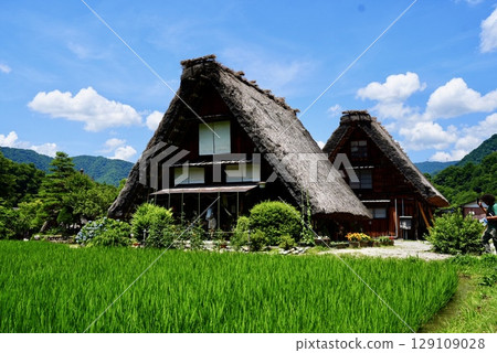 Shirakawa-go and Gassho-style houses in summer Shirakawa-go and Gassho-style houses in summer 129109028