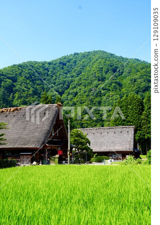 Shirakawa-go and Gassho-style houses in summer Shirakawa-go and Gassho-style houses in summer 129109035