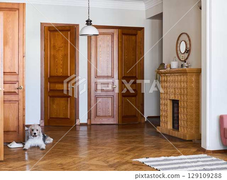 A Cozy Living Room Designed with Stunning Wooden Doors and an Adorable Dog Companion A Cozy Living Room Designed with Stunning Wooden Doors and an Adorable Dog Companion 129109288
