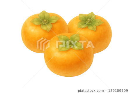 Watercolor illustration of three persimmons (cutout) 129109309