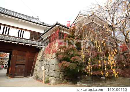 信州上田城的秋葉 129109530