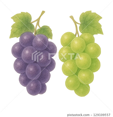 Set of purple and green grapes (cutout) 129109557