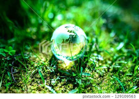 Beautiful globe crystal in the grass. Ecological image. Center position. Normal morning color. 129109563