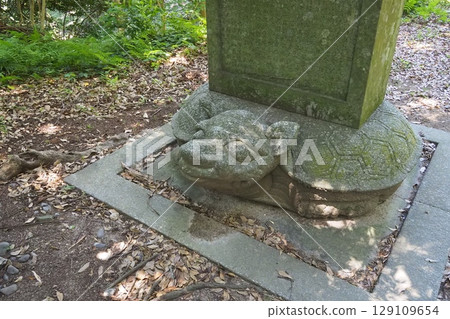 Hagi Castle (Yamaguchi Prefecture) - View of Mt. Shizuki 129109654